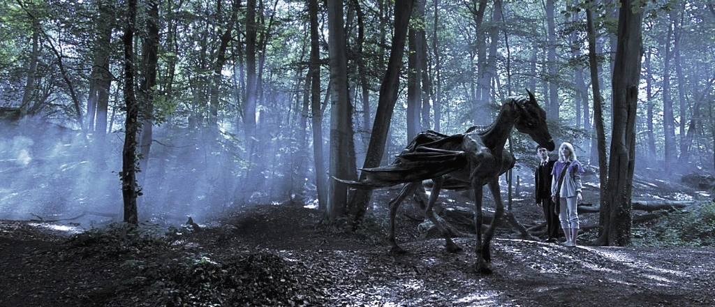 Harry Potter - Testral