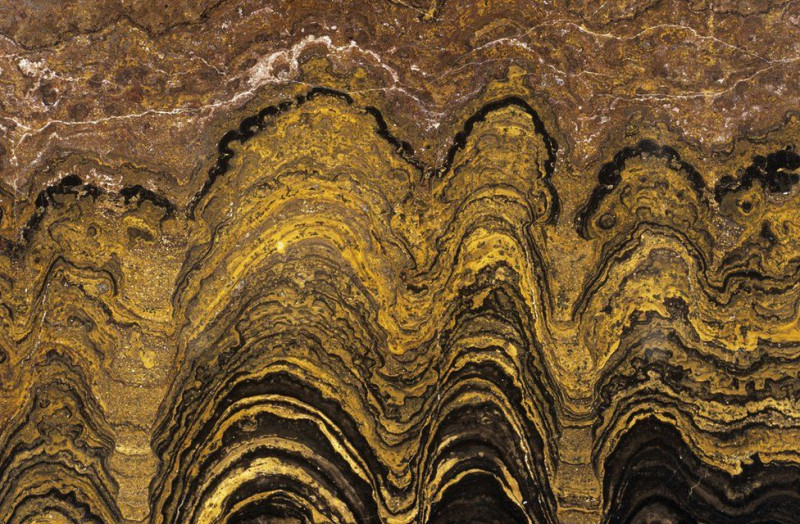Jednotlivé vrstvy v stromatolitoch. Perseverance bude hľadať práve takéto štruktúry indikujúce prítomnosť života. 