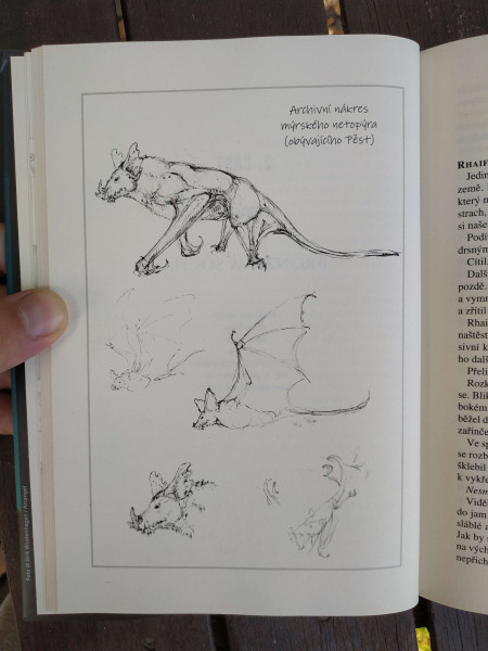 Nákresy různé zvěře je protkaná celá kniha Ilustrace z knihy