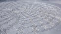 scifi.sk všehochuť - Scéna - Snehové "kruhy v obilí" 