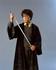Harry Potter 2 - Harry s mečom Harry s mečom Godrica Gryffindora