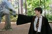 Harry Potter and the Prisoner of Azkaban - Hippogrif a Harry Harry Potter and the Prisoner of Azkaban - Hippogrif a Harry