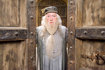 Harry Potter and the Order of Phoenix - 007 - Dumbledore Harry Potter and the Order of Phoenix - 007 - Dumbledore