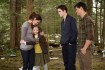 Twilight Saga: Breaking Dawn - Part 2, The - Záber -  